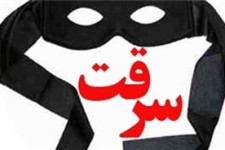 کاهش 29 درصدی آمار سرقت در هرسین