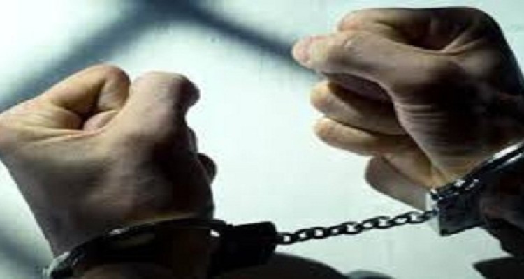 دستگیری سارق حرفه ای کابل برق در هرسین