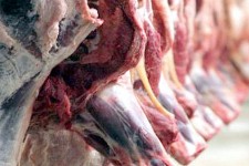 ضبط و معدوم‌سازی 155 کیلوگرم گوشت کشتار غیرمجاز در هرسین