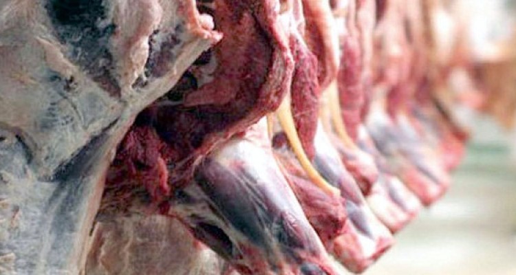 ضبط و معدوم‌سازی 155 کیلوگرم گوشت کشتار غیرمجاز در هرسین