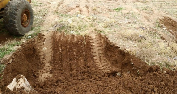 دفن بهداشتی لاشه ۲۰۰ مرغ رها شده در حاشیه جاده در هرسین