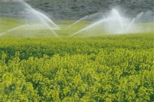 پرداخت تسهیلات بلاعوض آبیاری تحت فشار در خصوص بهره‌برداری از آب‌های سطحی