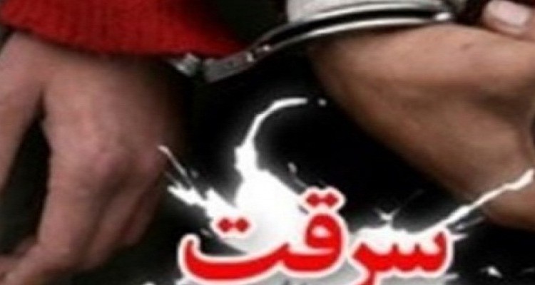 کاهش 66 درصدی سرقت خودرو و 50 درصدی منزل در هرسین 