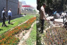 طرح گل کاری تابستانه فضای سبزشهرهرسین آغازشد/ صرفه جویی30میلیون تومانی در تولید گل های زینتی 