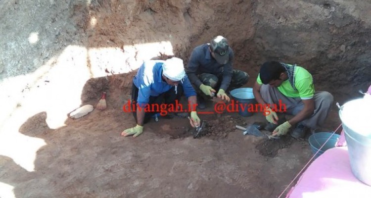 فصل دوم کاوش های بازنگری در تپه گنج دره هرسین با یافته های جدید