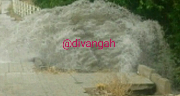 بارش باران باعث آب‌گرفتگی در برخی معابر هرسین شد+عکس و فیلم