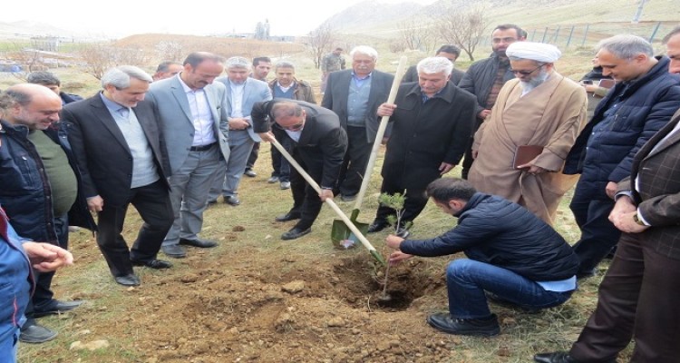  کاشت  ۱۰۰۰ اصله نهال در محل مجتمع ذوب آهن بیستون