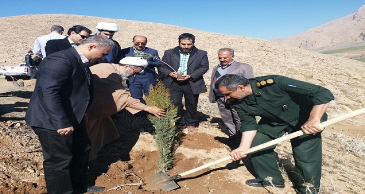 مزار شهدای گمنام هرسین درختکاری شد