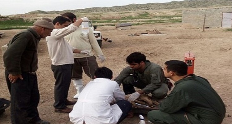 نظارت دامپزشکی‌ها از کشتارگاه‌ها شروع و تا مراکز عرضه ادامه دارد 