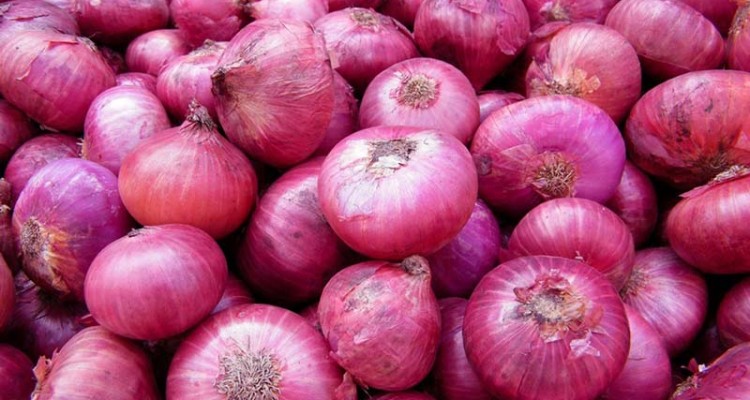 باید بتوانیم با برگزاری جشنواره ،پیاز هرسین را به یک برند تبدیل کنیم 