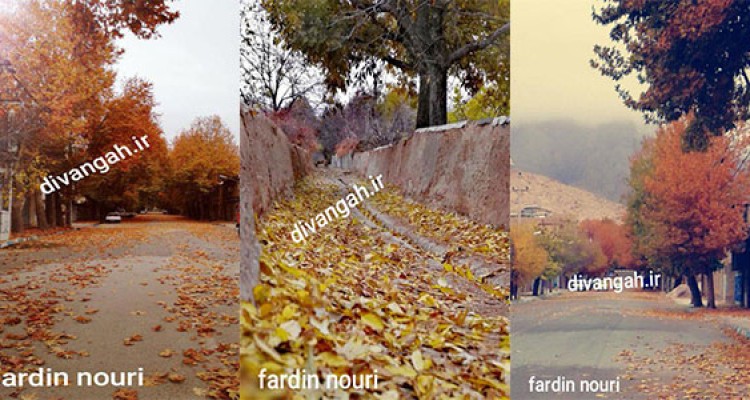 تصاویری بکر و زیبا از فصل برگریزان پاییز در هرسین