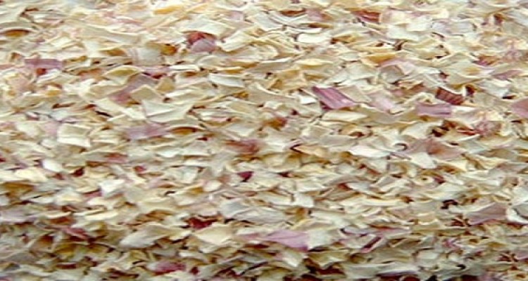 دعوت از سرمایه‌گذاران برای ورود به حوزه فرآوری پیاز هرسین 