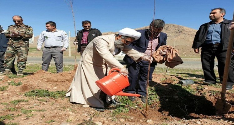 غرس 14500 اصله نهال در شهرستان هرسین 