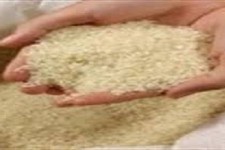 توزیع 4تن برنج تنظیم بازار در هرسین