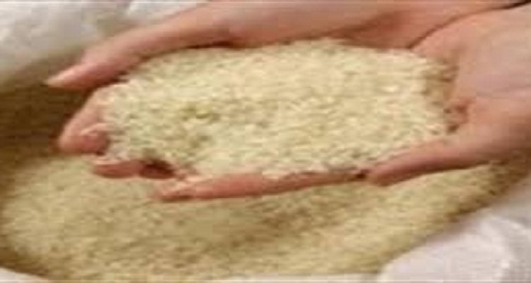 توزیع 4تن برنج تنظیم بازار در هرسین