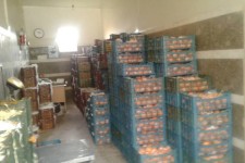 توزیع میوه شب عید با قیمت مصوب در هرسین/ توزیع برنج از فردا در ده نقطه شهرستان