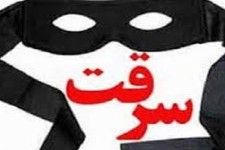 سارقان تجهیزات مخابراتی در دام پلیس هرسین