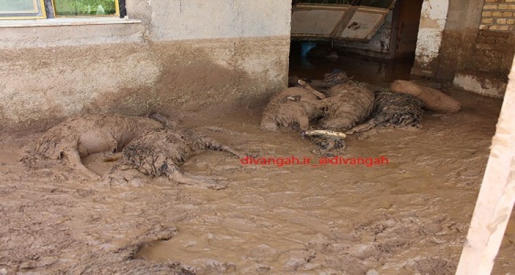 تصاویر از وضعیت بحرانی روستای کهریز در هرسین/ سیل همه چیز را با خود برد