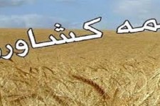 کشاورزان هرسینی درخصوص بیمه دامها و محصولات زراعی وباغی اقدام کنند