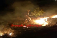 آتش سوزی ارتفاعات حفاظت شده بیستون پس از 24ساعت مهار شد