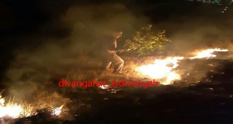 آتش سوزی ارتفاعات حفاظت شده بیستون پس از 24ساعت مهار شد