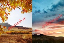 طبیعت زیبای هرسین در پاییز برگ‌ ریز+ تصاویر
