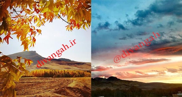 طبیعت زیبای هرسین در پاییز برگ‌ ریز+ تصاویر