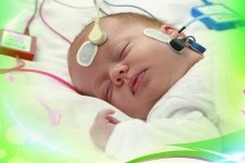 انجام غربالگری جامع شنوایی بیش از ۵۰۰ نوزاد در سطح شهرستان هرسین