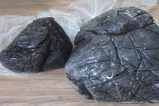 کشف 6 کیلو گرم مواد مخدر در هرسین