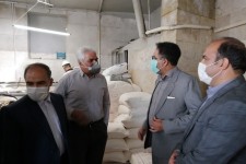 عملکرد برخی نانوایی ها در هرسین نارضایتی عمومی را در پی داشته است/ لزوم اجرای طرح بازرسی یکماهه جهت اصلاح عملکرد نانوایی ها