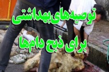مردم دام های قربانی خود را در کشتارگاه های مجاز ذبح کنند