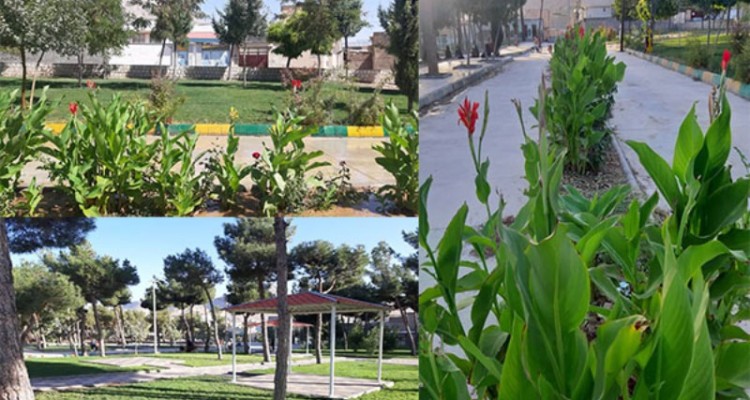 فاز اول پروژه پارک بانوان هرسین به بهره برداری رسید/ پیگیری جهت احداث مرکز خدماتی بانوان و نصب روشنایی معابر