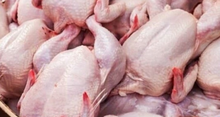 مشکل کمبود مرغ در هرسین در حال رفع شدن است/ ارسال 15200مرغ زنده به کشتارگاه های استان