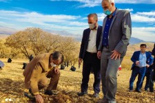 پویش مردمی احیای جنگل های زاگرس در هرسین برگزار شد