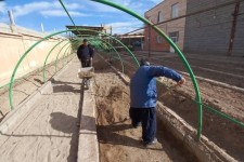 آماده سازی مرکز کاشت و پرورش گلهای فصلی توسط واحد فضای سبز شهرداری هرسین