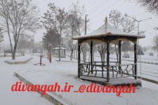 بارش برف هرسین را سفید پوش کرد+ تصاویر