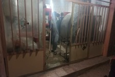 دستگیری اراذل اوباش با اقدام مقتدرانه پلیس در هرسین