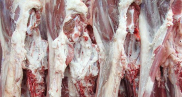 علت کمبود گوشت قرمز تعطیلی کشتارگاه بوده است/مشکلی در توزیع نداریم