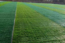 نصب و ساماندهی زمین چمن مصنوعی فوتبال شهرستان هرسین