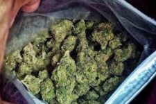 کشف ۲۴ کیلوگرم ماده مخدر گل در هرسین