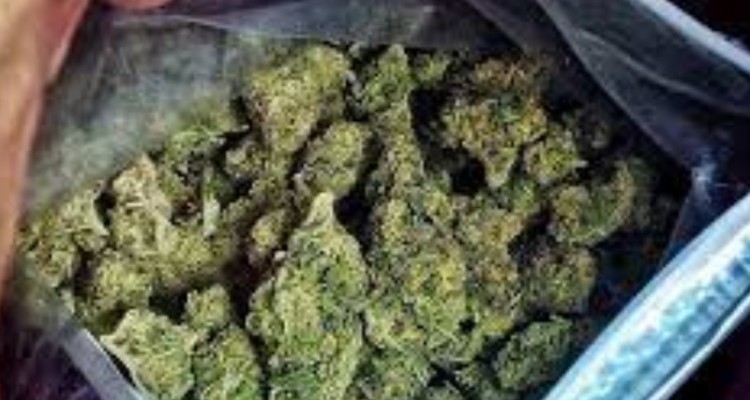 کشف ۲۴ کیلوگرم ماده مخدر گل در هرسین