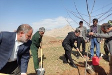 افتتاح اولین بوستان روستایی روستای الیاسوند سفلی در هرسین