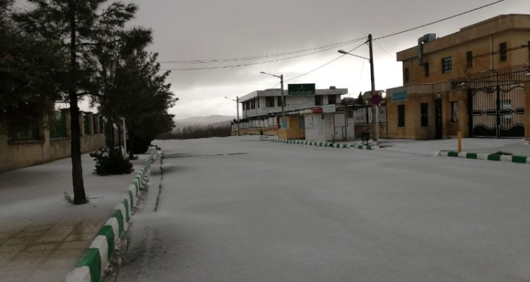 بارش تگرگ مناطقی از هرسین را سفید پوش کرد