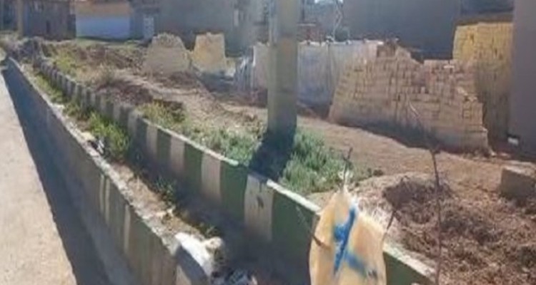 طرح عقب نشینی خیابان شورا قانونی است/ هیچ هزینه ای در این خصوص از مالکین دریافت نشده است