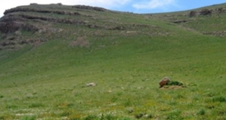 یازدهم مرداد ماه، آخرین مهلت تعیین جایگزین مرتعداران متوفی