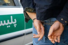 دستگیری سارق حرفه ای در هرسین