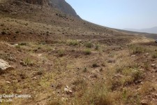 آغاز عملیات اجرایی پروژه آبخیزداری حوزه شمال شهر هرسین