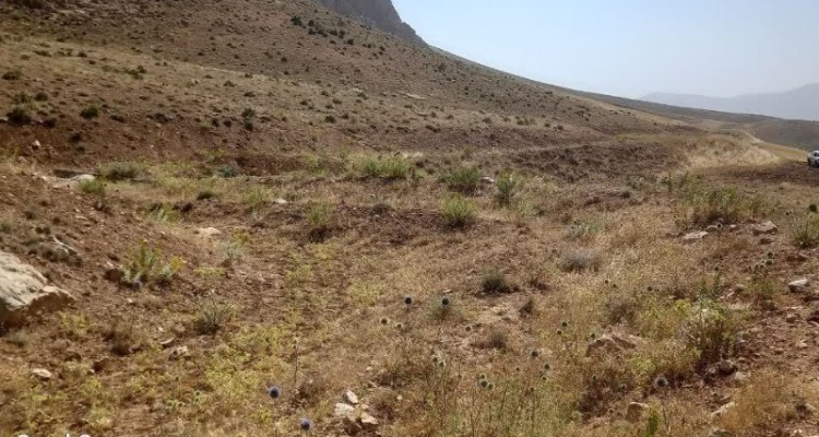 آغاز عملیات اجرایی پروژه آبخیزداری حوزه شمال شهر هرسین