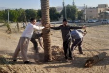 مراحل آماده سازی مراسم بازسازی واقعه غدیر خم در هرسین_تصویر