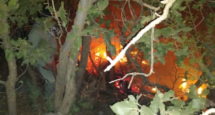 180هکتار از اراضی پناهگاه حیات وحش بیستون طعمه حریق شد